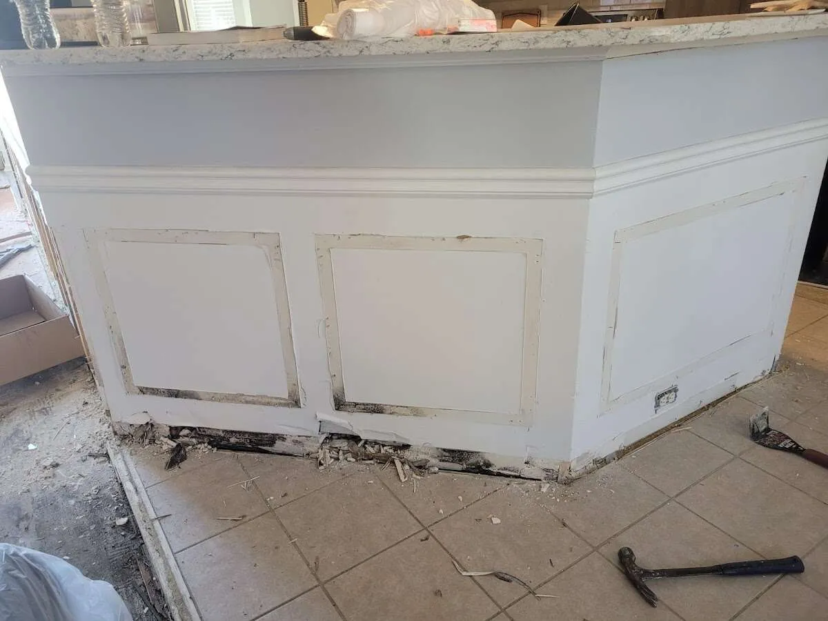 Water damage and mold on kitchen during Mold Inspection & Testing in Port Huron